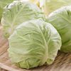 Bắp cải trắng 1-1.2kg