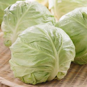 Bắp cải trắng 1-1.2kg