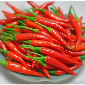 Ớt chỉ thiên 300g